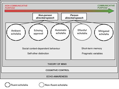 Thinking on Treating Echolalia in Aphasia: Recommendations and Caveats for Future Research Directions